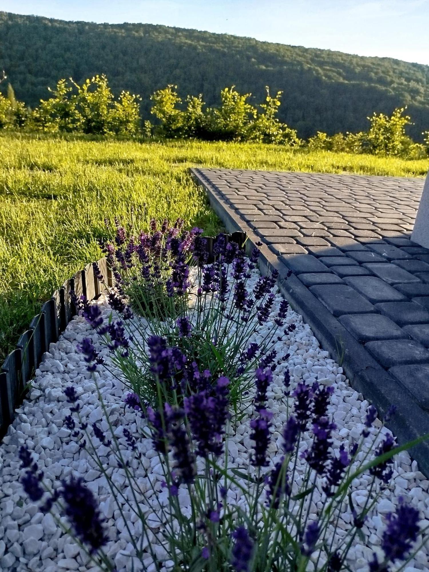 Lawendowy Klimat Bobrka Exterior foto